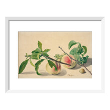 Load image into Gallery viewer, Michiel van Huysum, Still life with peaches and hazlenuts