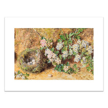 Load image into Gallery viewer, William Henry Hunt, Chaffinch Nest and May Blossom
