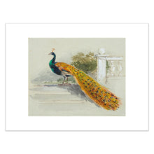 Load image into Gallery viewer, Myles Birket Foster, Peacock