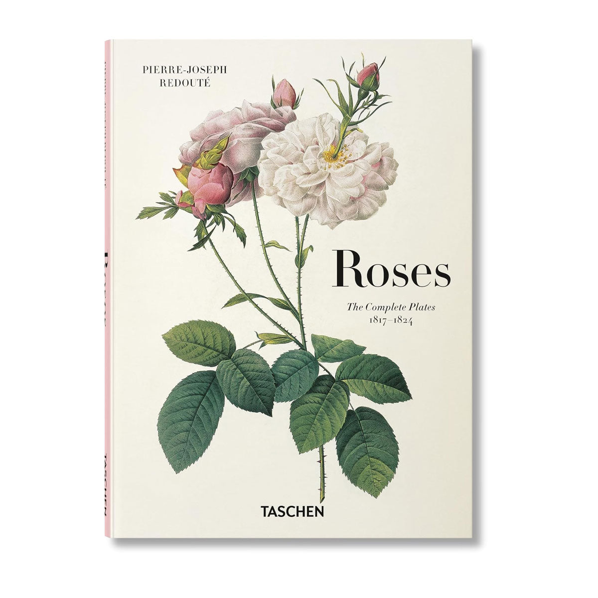 Pierre-Joseph Redout、The Roses48 Redouté's Roses by Pierre Joseph Redouté – The Botanics Shop