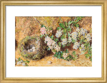 Load image into Gallery viewer, William Henry Hunt, Chaffinch Nest and May Blossom