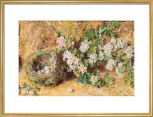 Load image into Gallery viewer, William Henry Hunt, Chaffinch Nest and May Blossom