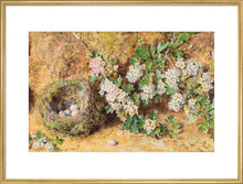 Load image into Gallery viewer, William Henry Hunt, Chaffinch Nest and May Blossom