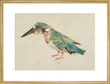 Load image into Gallery viewer, Italian School, Kingfisher