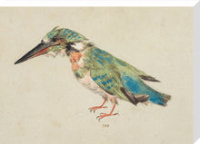 Load image into Gallery viewer, Italian School, Kingfisher
