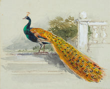 Load image into Gallery viewer, Myles Birket Foster, Peacock