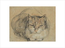 Load image into Gallery viewer, David Wilkie, Cat - study for 'The Cut Finger'