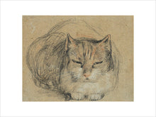 Load image into Gallery viewer, David Wilkie, Cat - study for 'The Cut Finger'