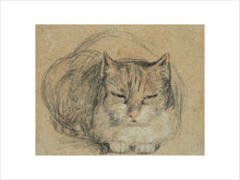 Load image into Gallery viewer, David Wilkie, Cat - study for 'The Cut Finger'