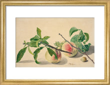 Load image into Gallery viewer, Michiel van Huysum, Still life with peaches and hazlenuts