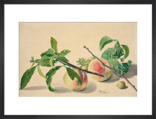 Load image into Gallery viewer, Michiel van Huysum, Still life with peaches and hazlenuts
