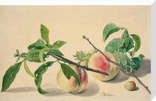 Load image into Gallery viewer, Michiel van Huysum, Still life with peaches and hazlenuts