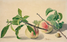 Load image into Gallery viewer, Michiel van Huysum, Still life with peaches and hazlenuts