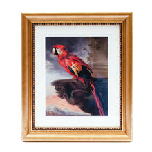 Load image into Gallery viewer, Framed Print Rubens Parrot