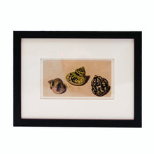 Load image into Gallery viewer, Framed Print van Huysum Three Shells
