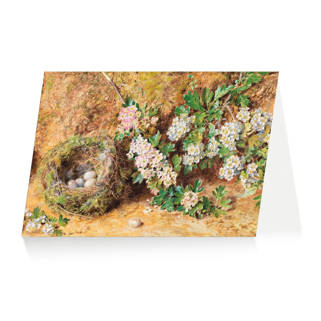 Greetings Card Hunt Chaffinch Nest and Blossom