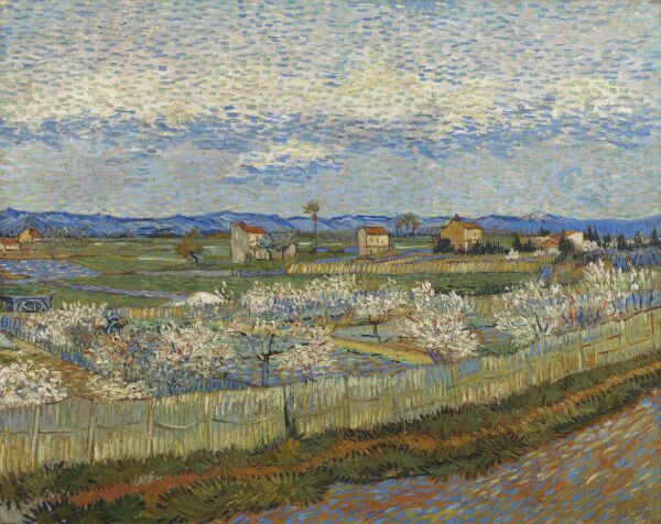 PC Vincent van Gogh Peach Trees in Blossom