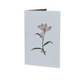 Pressed Flower Greetings Card Blue