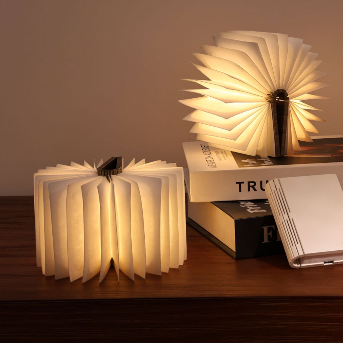 Mini Book Light Walnut
