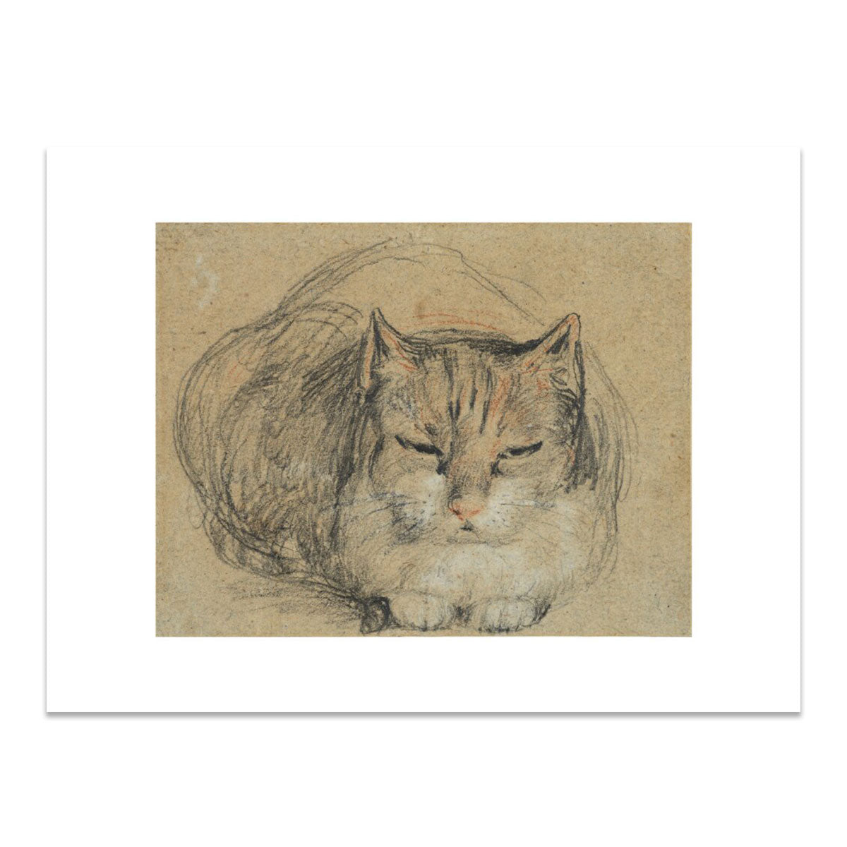 Cat - study for 'The Cut Finger'