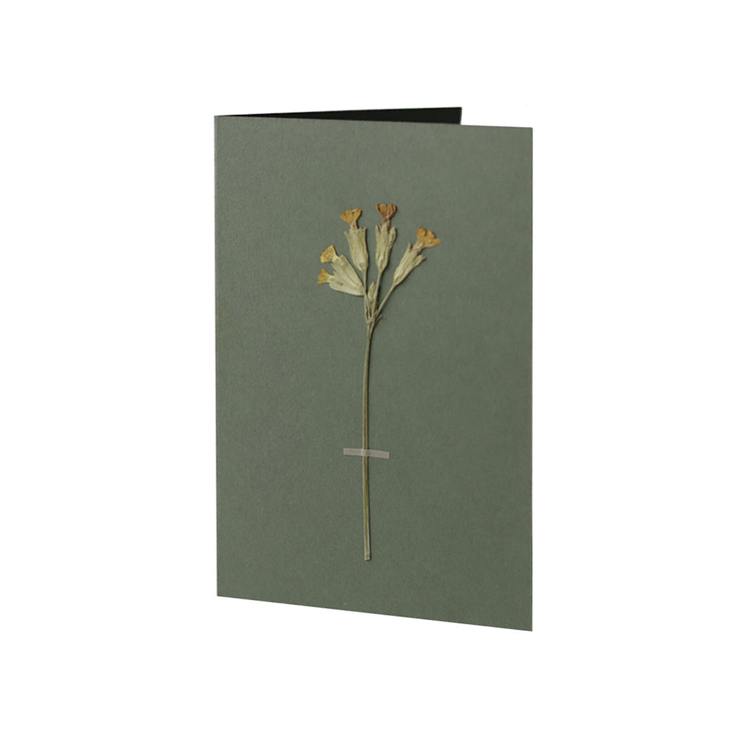 Pressed Flower Greetings Card Green
