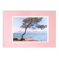 Monet Antibes Double Mounted Print