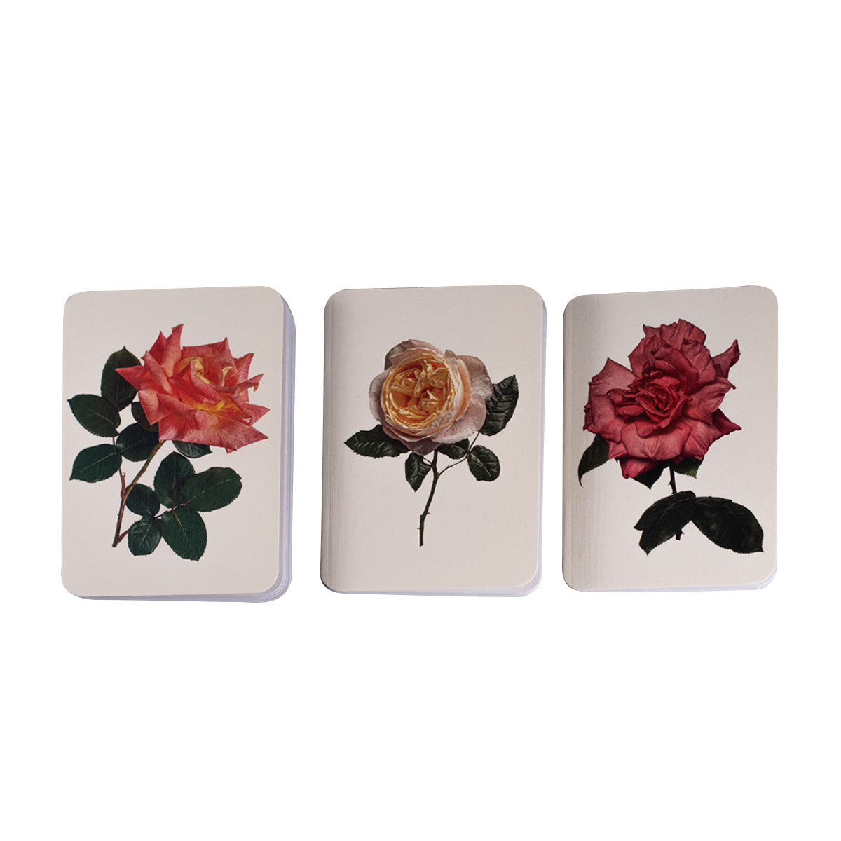 Notebook Set Garden Roses