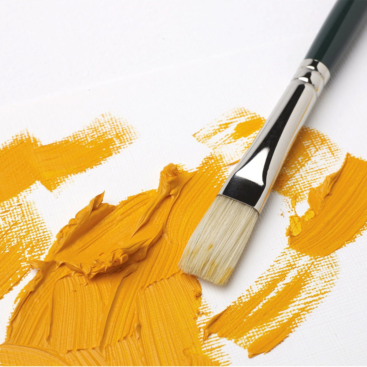 Flat Paint Brush Oil Winton 