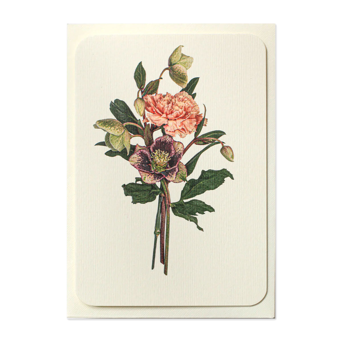 Greetings Card Posy of Hellebore & Carnation