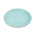 Light blue ceramic plate on a white background