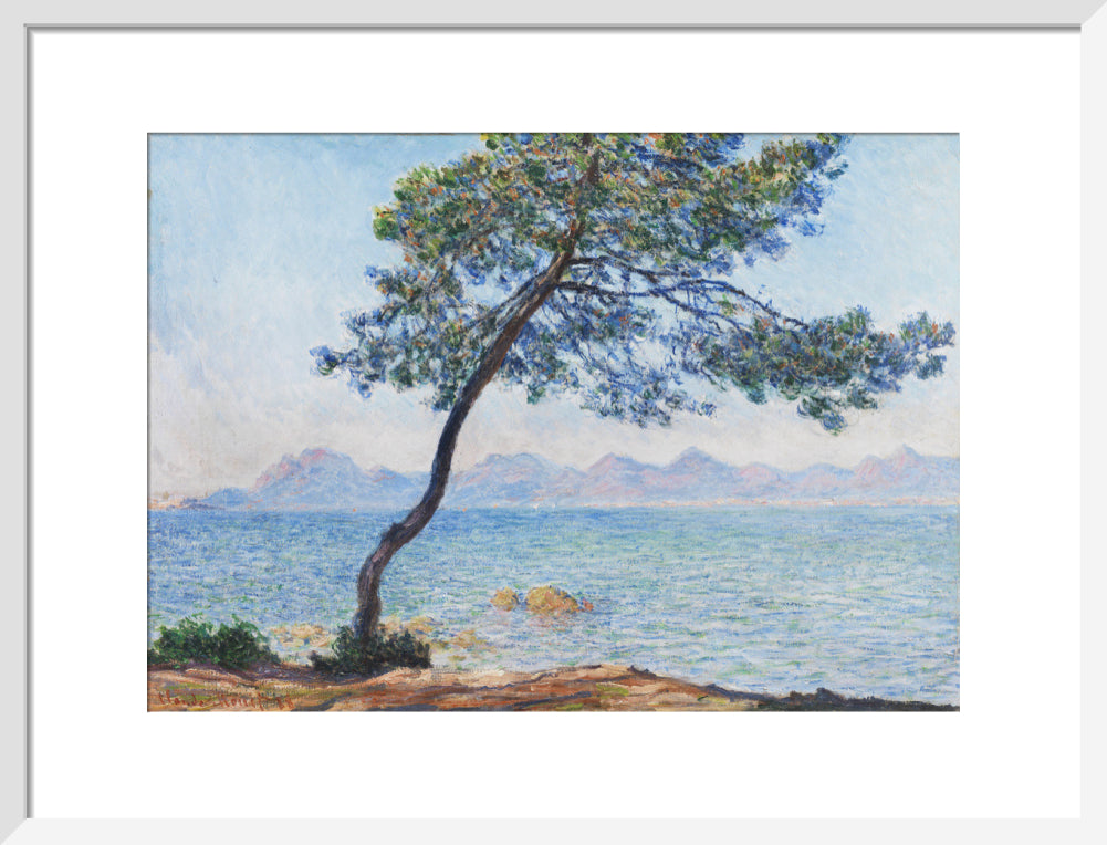 Antibes (art print, medium, white)