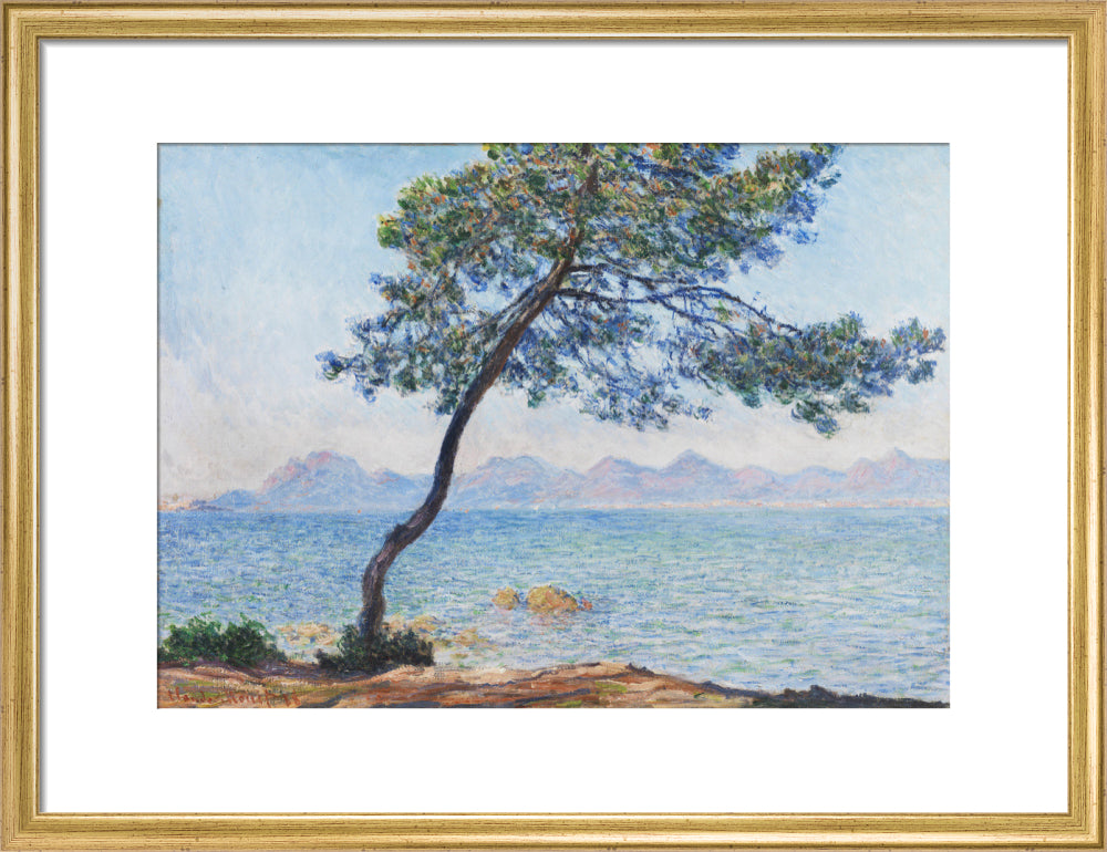 Antibes (art print, medium, gold)