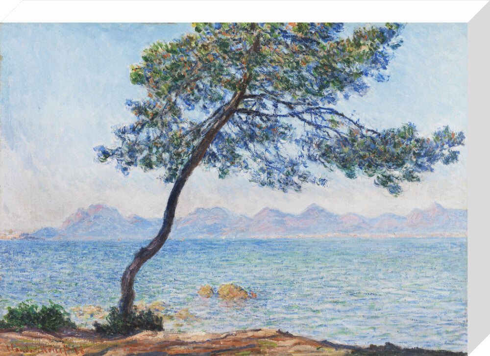 Antibes (stretched canvas, medium, unframed)