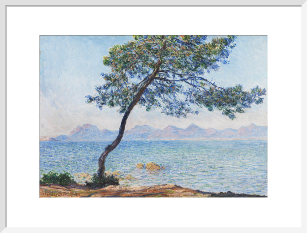 Antibes (art print, large, white)