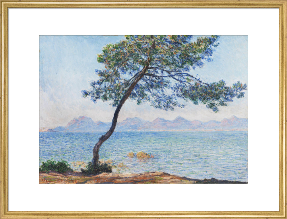 Antibes (art print, large, gold)