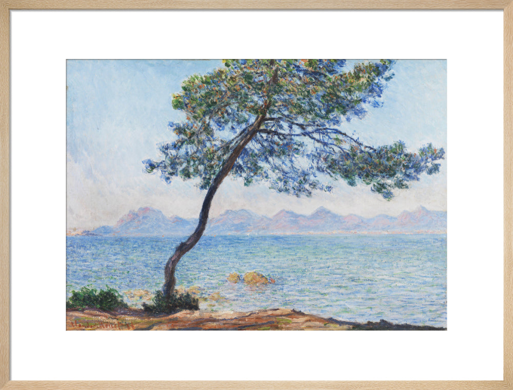 Antibes (art print, large, natural)