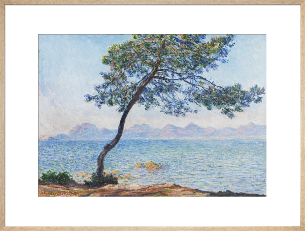 Antibes (art print, extra large, natural)