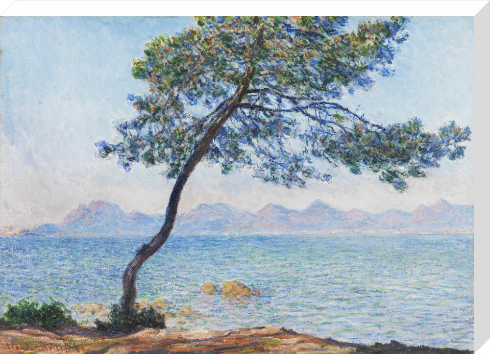 Antibes (stretched canvas, large, unframed)