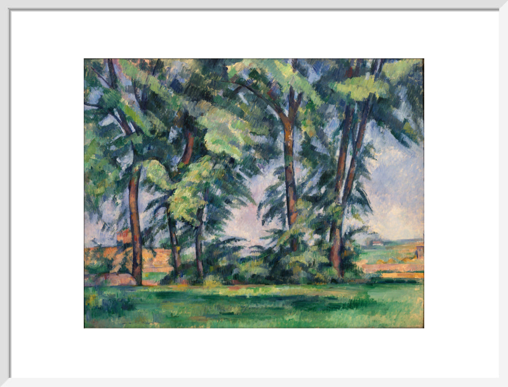 Tall Trees at the Jas de Bouffan (art print, large, white)