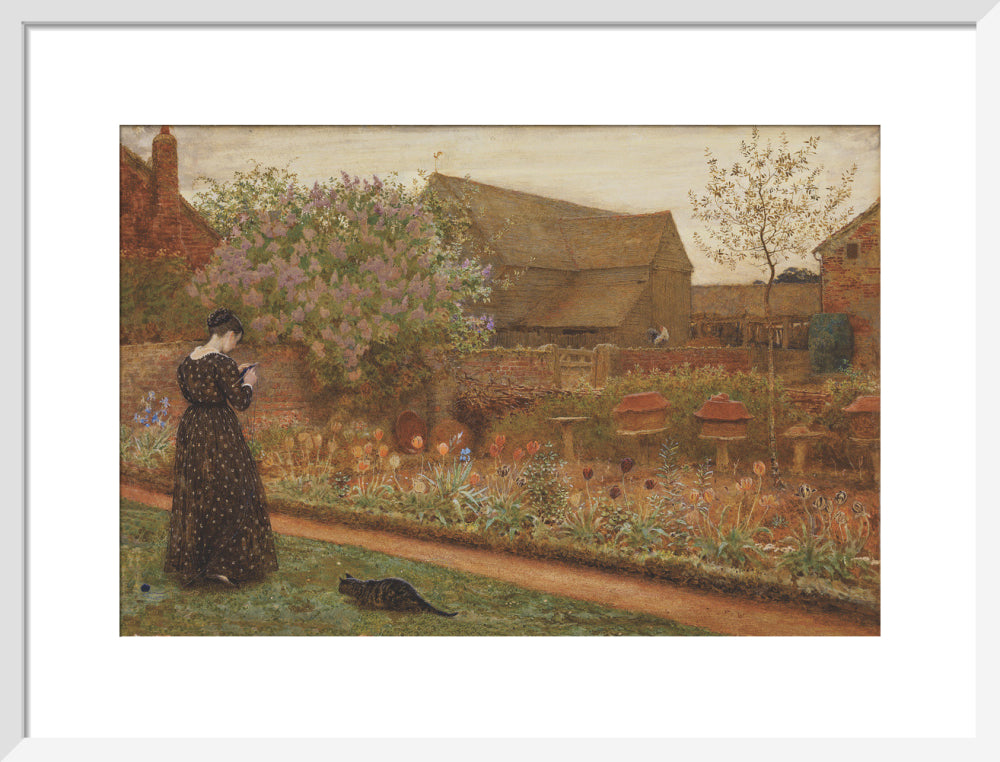 The Old Farm Garden (art print, medium, white)