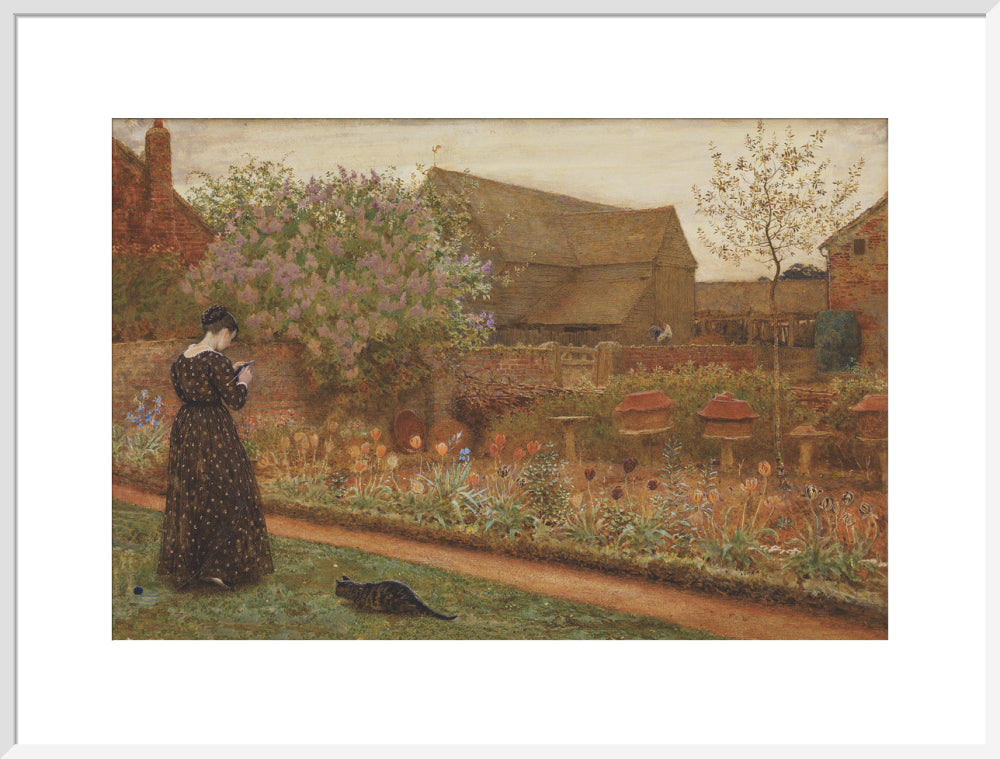 The Old Farm Garden (art print, extra large, white)