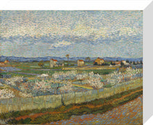 Load image into Gallery viewer, Peach Trees in Blossom, 1889
