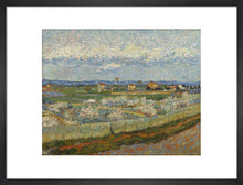 Load image into Gallery viewer, Peach Trees in Blossom, 1889
