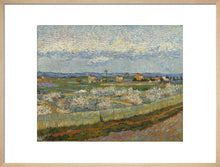 Load image into Gallery viewer, Peach Trees in Blossom, 1889
