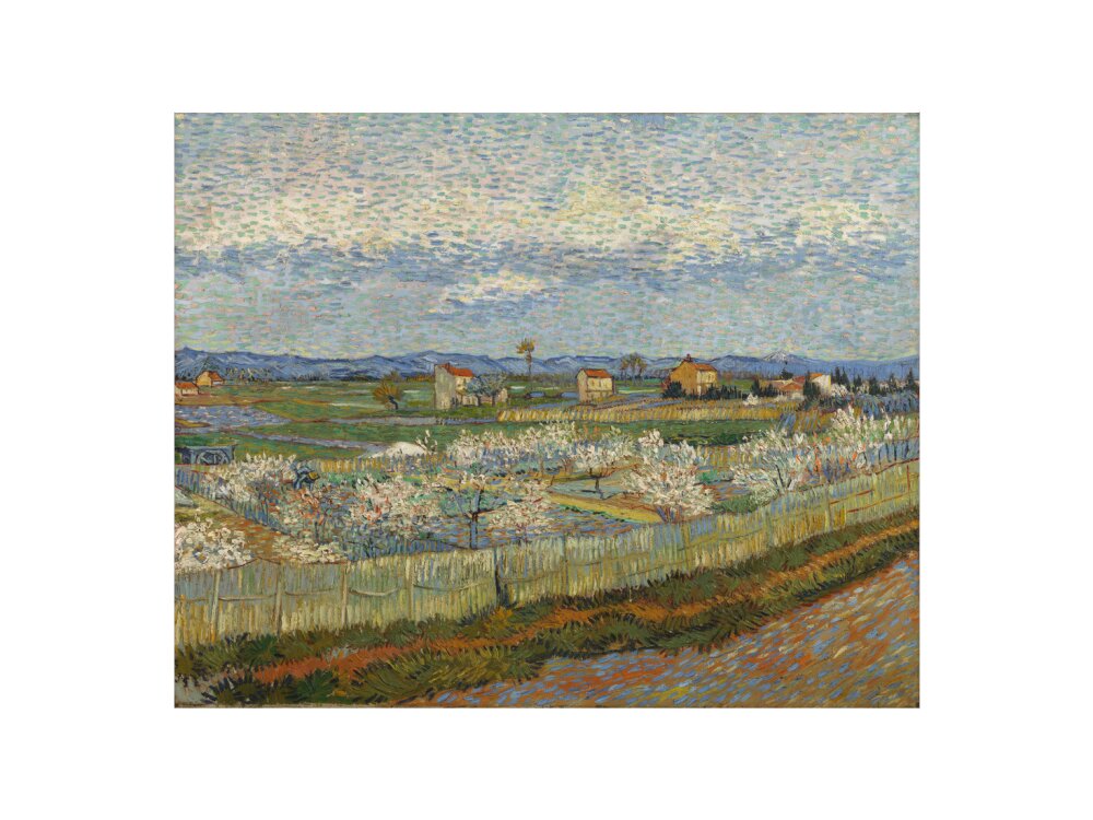 Peach Trees in Blossom, 1889