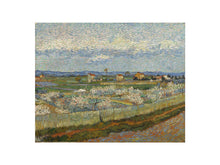 Load image into Gallery viewer, Peach Trees in Blossom, 1889
