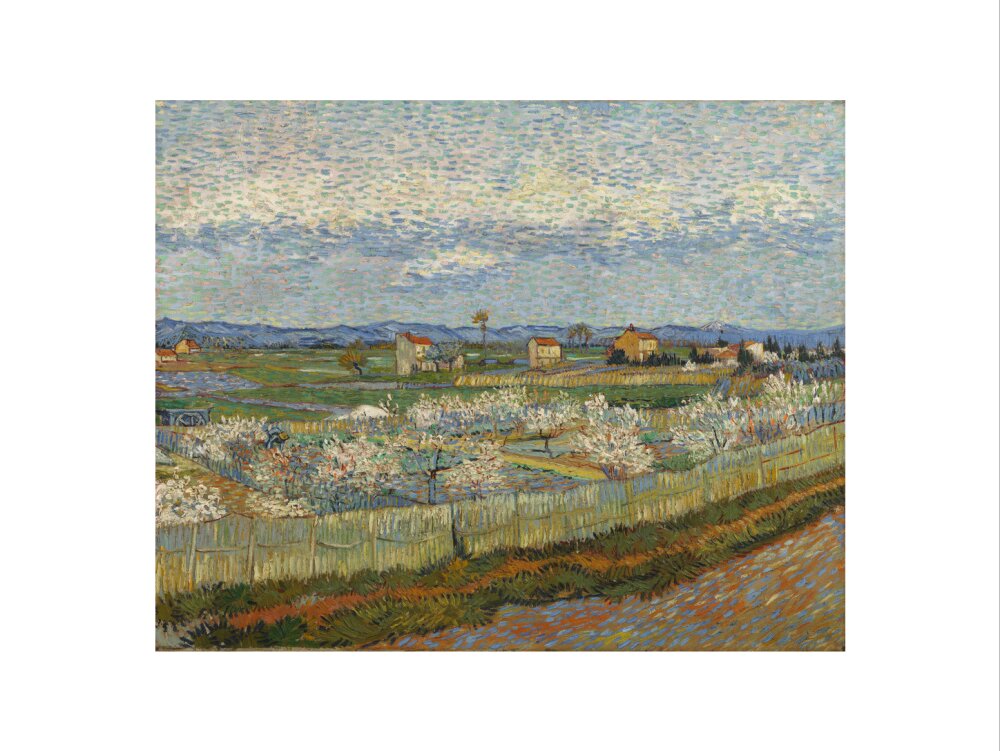 Peach Trees in Blossom, 1889