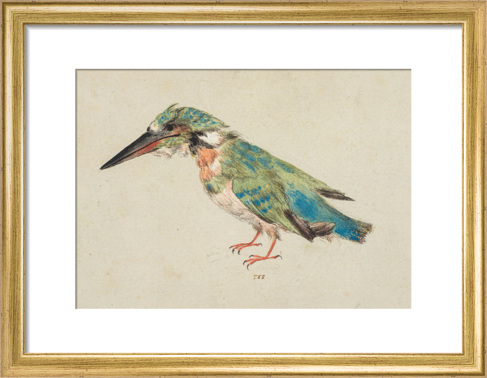 Kingfisher (art print, small, gold)