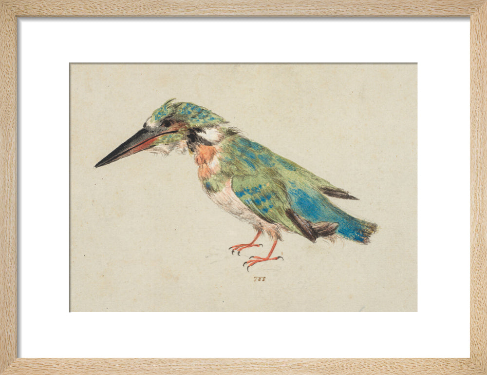Kingfisher (art print, small, natural)