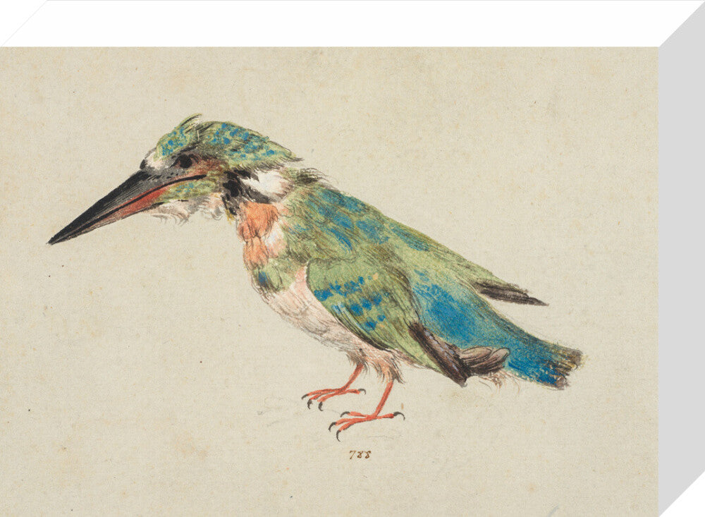 Kingfisher (stretched canvas, small, unframed)
